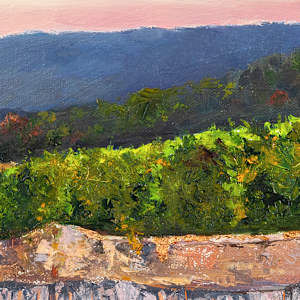 Stony Run Vineyard by Melissa Carroll 