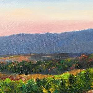 Stony Run Vineyard by Melissa Carroll 