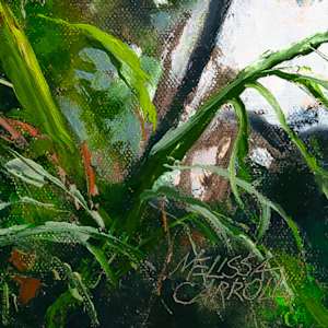 The Edge of Cosmos by Melissa Carroll 