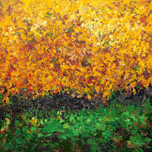 Color Field by Melissa Carroll