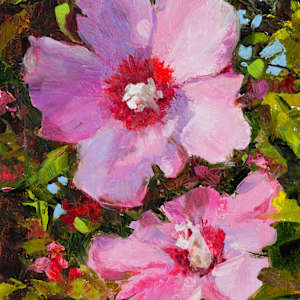 Rose of Sharon by Melissa Carroll