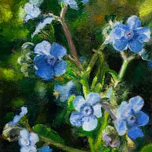 Garden Secret by Melissa Carroll, Image 1.