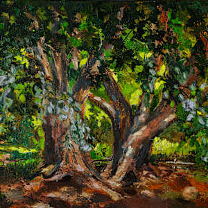 Katsura Light Dance by Melissa Carroll, Image 1.