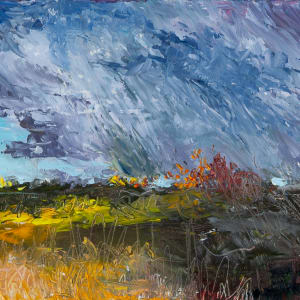 Storm's Edge by Melissa Carroll 