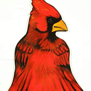 Nature's Daughter's Fashion Show by Lisa Shinault  Image: Cape (of "Nature's Daughter's Fashion Show")