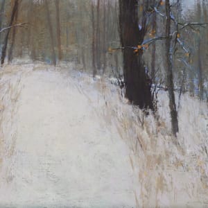 Worth Family Nature Preserve WInter by carol strock wasson