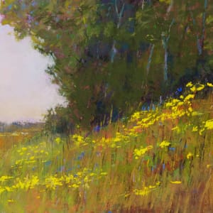 Wildflowers of Summer by carol strock wasson