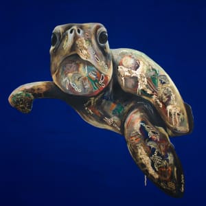 La Tortuga by Vanesa Castillo Martín
