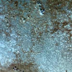 Blue Series #10