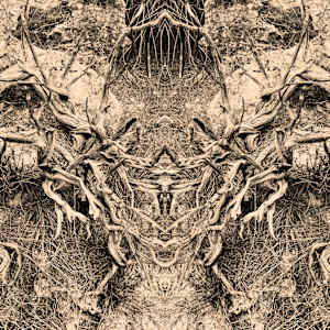 Hidden Creature 01 by Katie Hagen (Kat), Image 8.