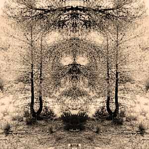 Hidden Creature 03 by Katie Hagen (Kat), Image 7.
