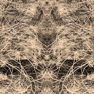 Hidden Creature 07 by Katie Hagen (Kat), Image 6.