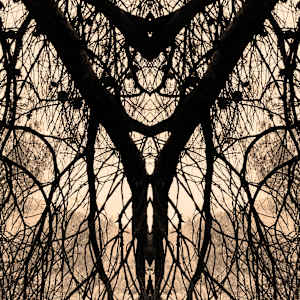 Hidden Creature 10 by Katie Hagen (Kat), Image 5.