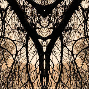 'Wild Things' nr 10 by Katie Hagen (Kat)