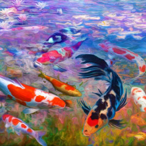 Koi Pond Study by Dan Terry, Image 1.