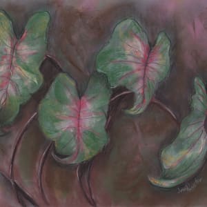 Caladiums in the Breeze by Jenn Royster