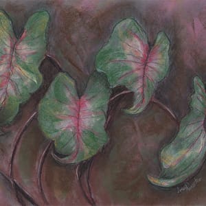 Caladiums in the Breeze #1 by Jenn Royster  Image: Caladiums in the Breeze close up