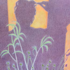 Peter’s Shadow by Mia Risberg