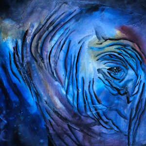 eye on the wall by Zarina Docken