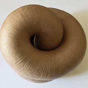 Infinite Loop (Gut) I by Richard Gregory, Image 2.