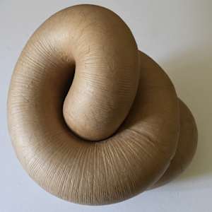 Infinite Loop (Gut) I by Richard Gregory, Image 3.