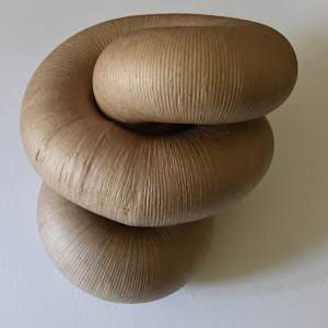 Infinite Loop (Gut) I by Richard Gregory, Image 4.