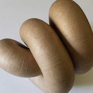 Infinite Loop (Gut) I by Richard Gregory, Image 11.
