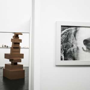 Caffeine by Richard Gregory, Image 2.
