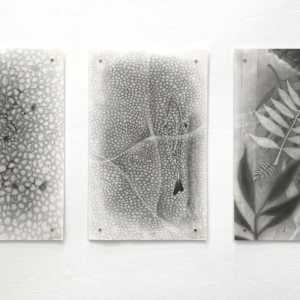 Matter I: Onn Dwfr by Richard Gregory, Image 4.