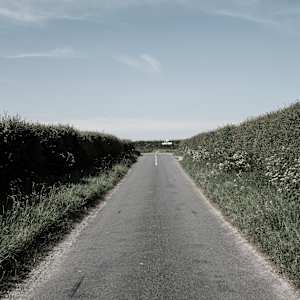 Ackling Dyke Walk by Richard Gregory, Image 2.