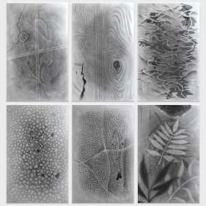 Matter II: Sound by Richard Gregory, Image 2.