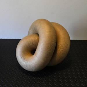 Infinite Loop (Gut) I by Richard Gregory, Image 8.