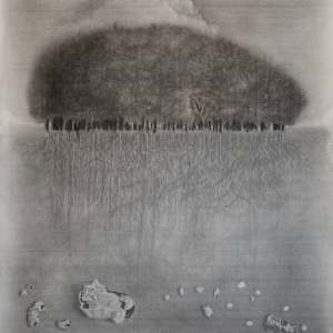 High Ground (Win Green Clump) by Richard Gregory, Image 1.