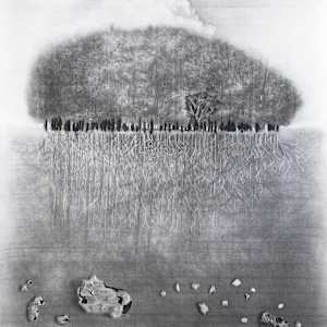 High Ground (Win Green Clump) by Richard Gregory, Image 3.