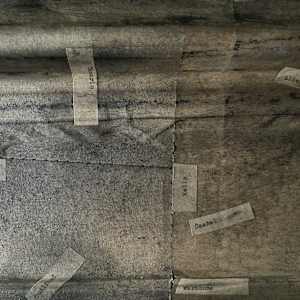 Road Trip by Richard Gregory, Image 21.