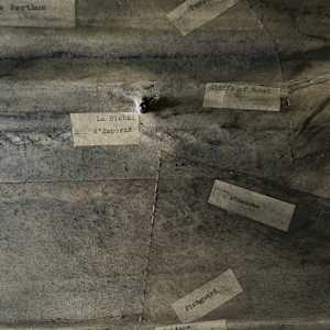 Road Trip by Richard Gregory, Image 22.