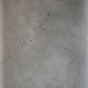 Surveillance: Down, Between, Up (Triptych) by Richard Gregory, Image 3.