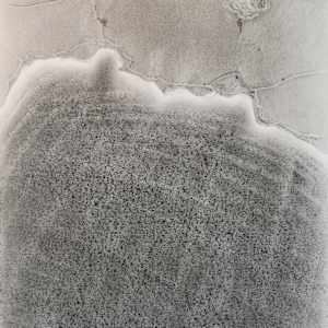Surveillance: Down, Between, Up (Triptych) by Richard Gregory, Image 2.