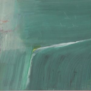 Catarata by Ramón Oviedo