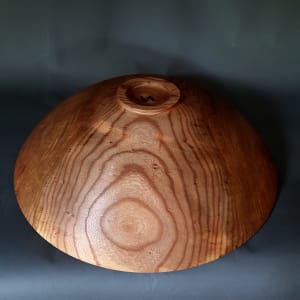 elm bowl 2021_1 by Simon King  Image: large elm bowl