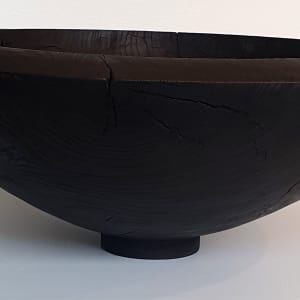 vein 2 by Simon King 