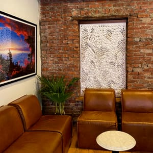 Ferns through Basalt ( scroll-edge) by Summer J. Hart