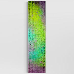 Aurora Borealis by Joel Blenz