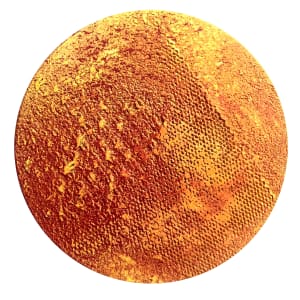 Sunburst by Joel Blenz