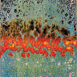 Borderlands:  Underground Survival by Studio Relics by Linda joy Weinstein