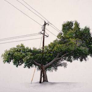 The Last Dream of the Old Oak by Michelle Robinson, Image 1.