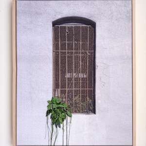 The Secret Garden by Michelle Robinson, Image 1.