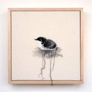 Scripps's Murrelet Chick by Michelle Robinson, Image 1.