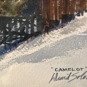 Camelot by David Solomon 