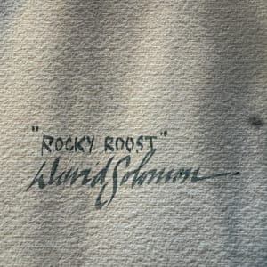 Rocky Roost by David Solomon 